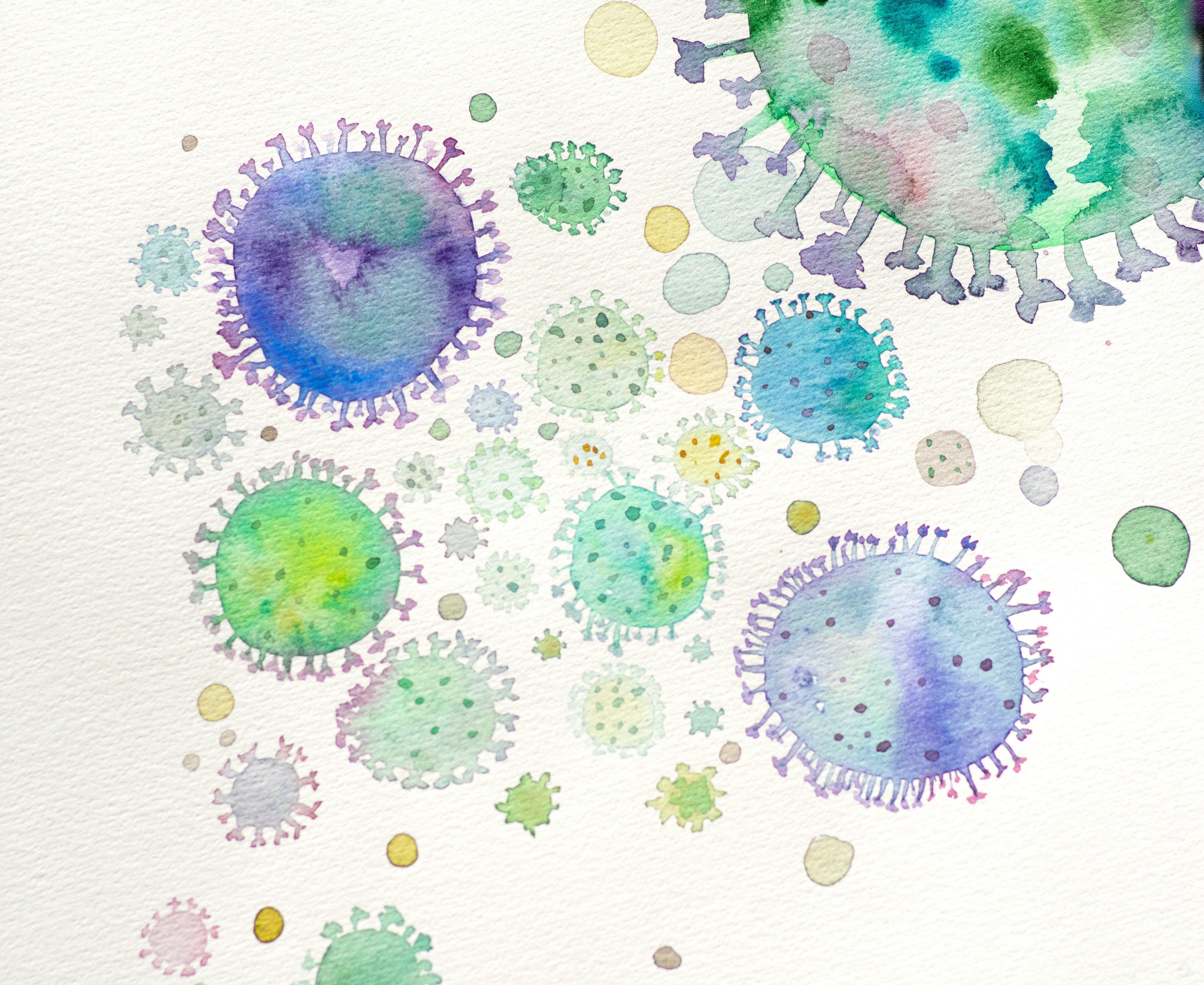 The Gut-Performance Link: Boost Energy & Focus Through Digestion
