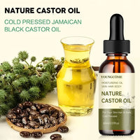 Organic Black Castor Oil